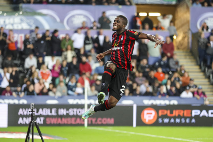 Photo by Robin Jones - AFC Bournemouth/AFC Bournemouth via Getty Images
