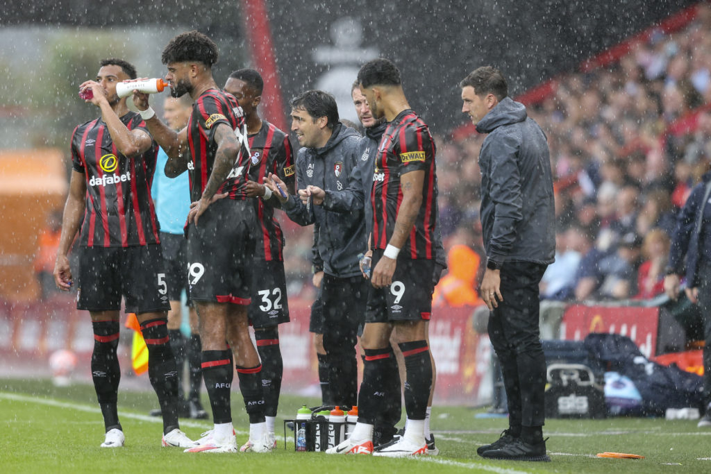 AFC Bournemouth v Tottenham Hotspur - Premier League
